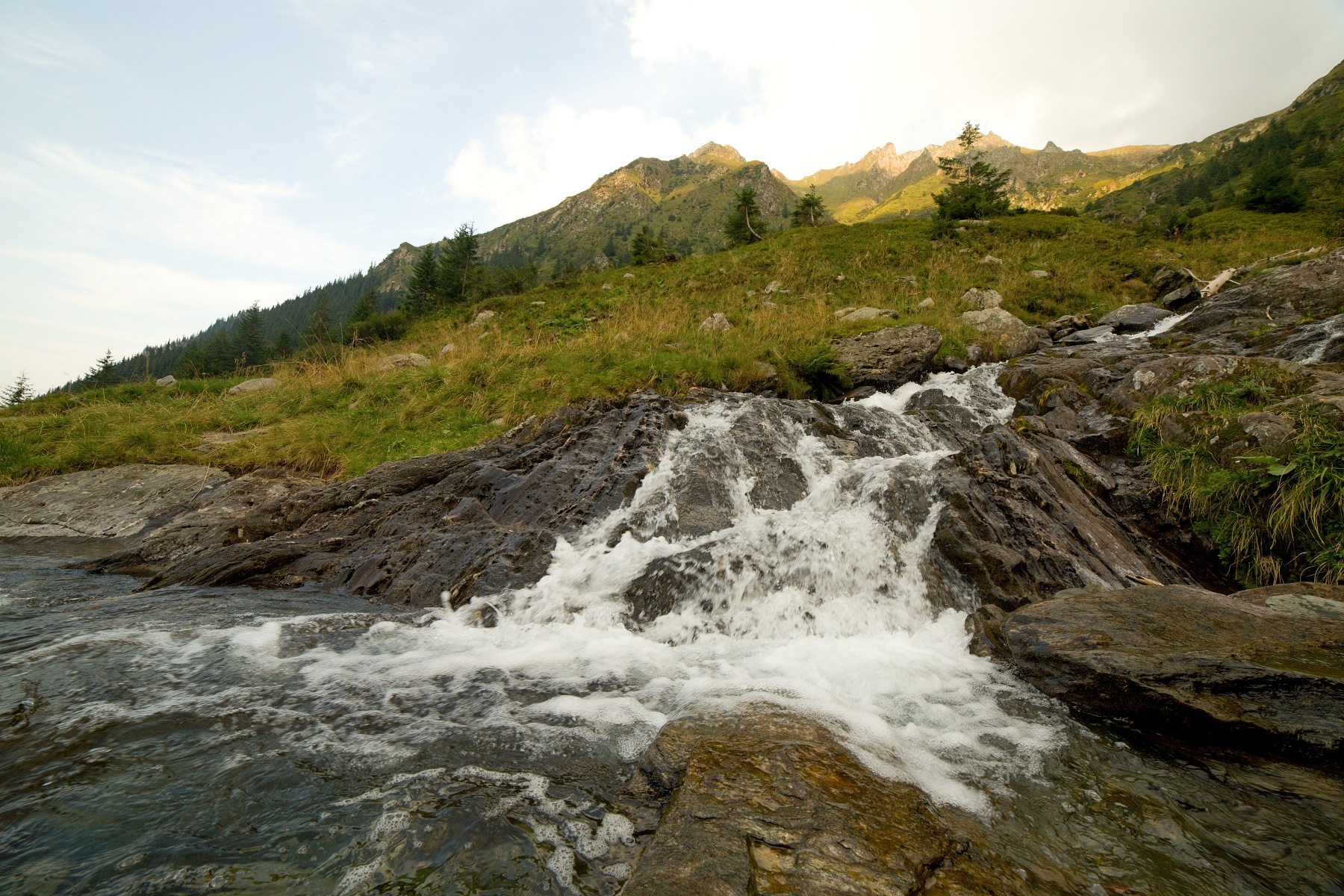 Arpasul, Fagaraš, Rumunsko