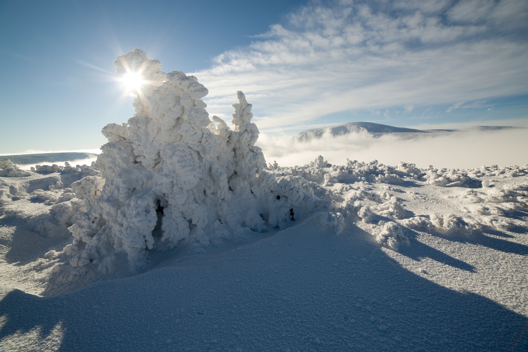 Studniční hora, Krkonoše, Česko