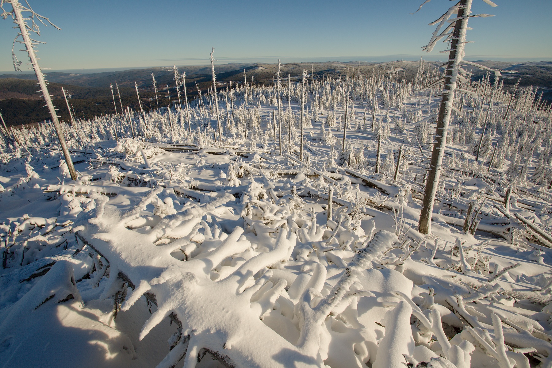 Šumava