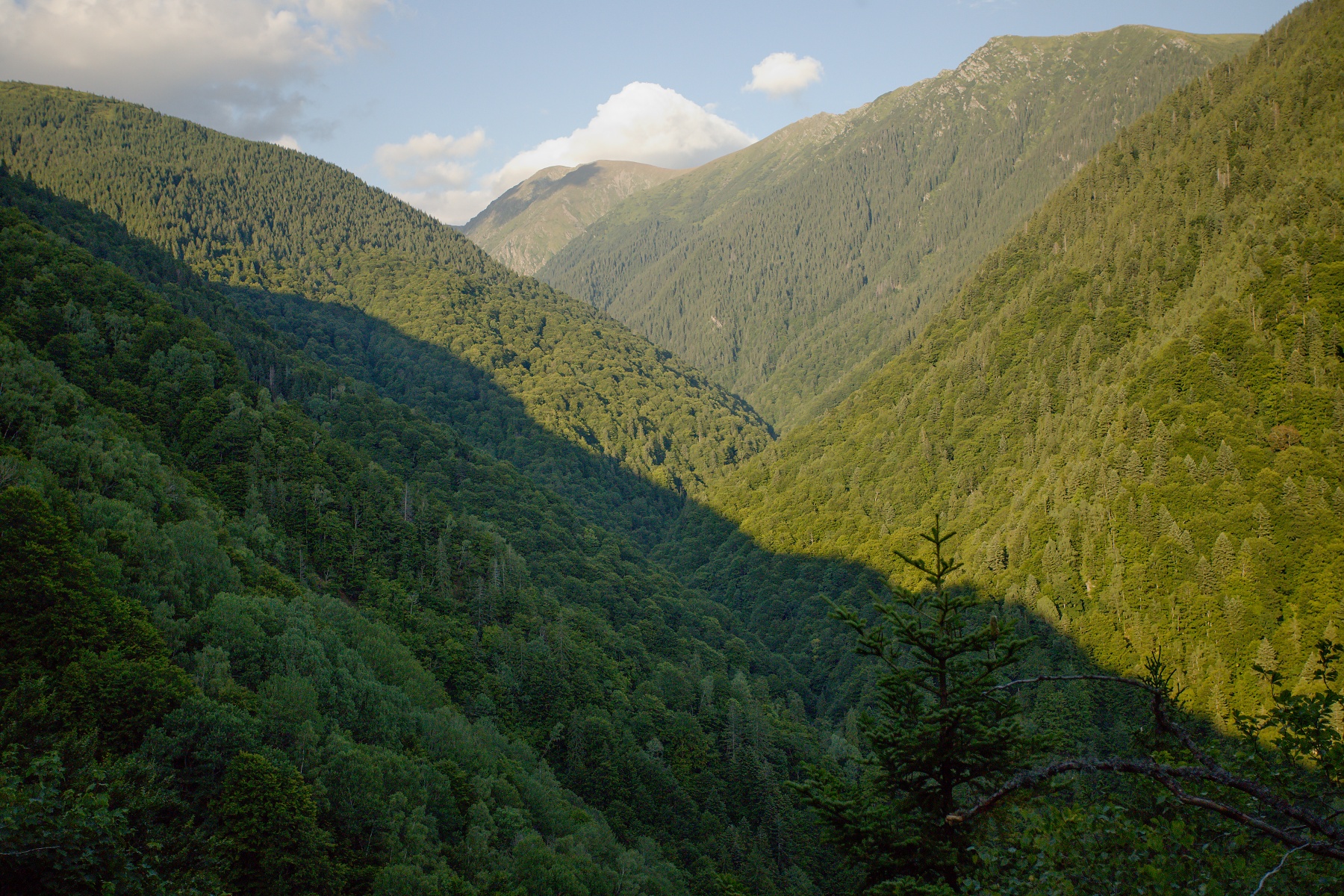 Boia Mică, Munții Făgăraș, Romania (2)