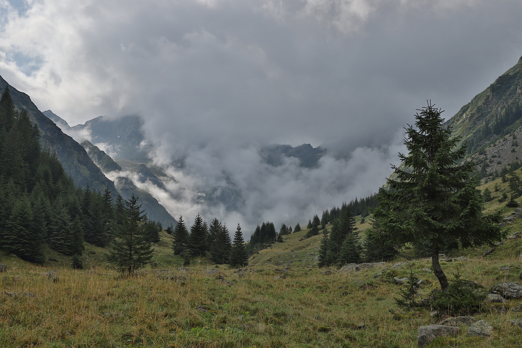 Valea Vistei, Munții Făgăraș, Romania