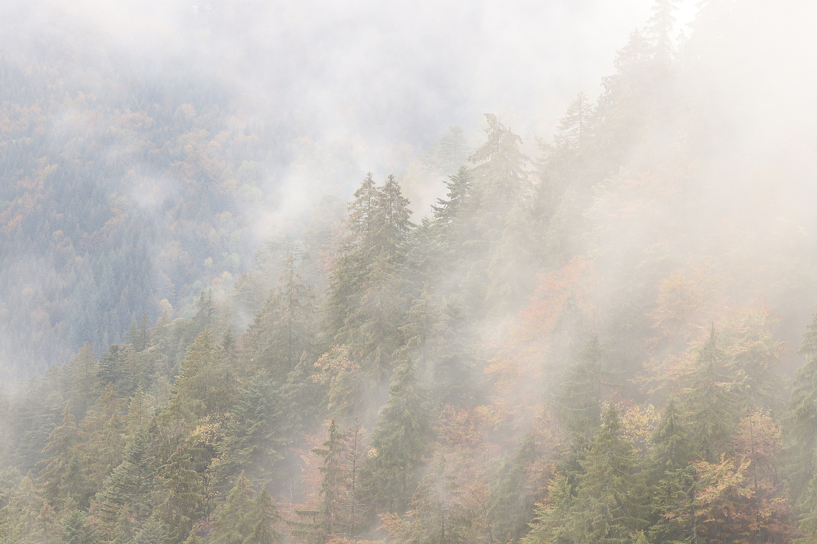 NPR Kundračka, Veľká Fatra, Slovensko