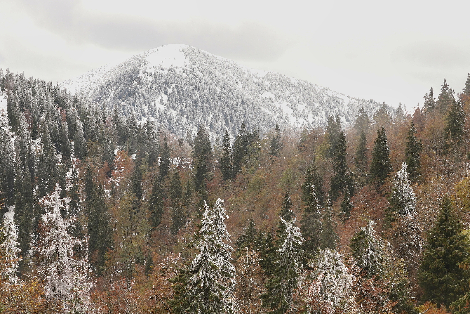 Rakytov, Veľká Fatra, Slovensko