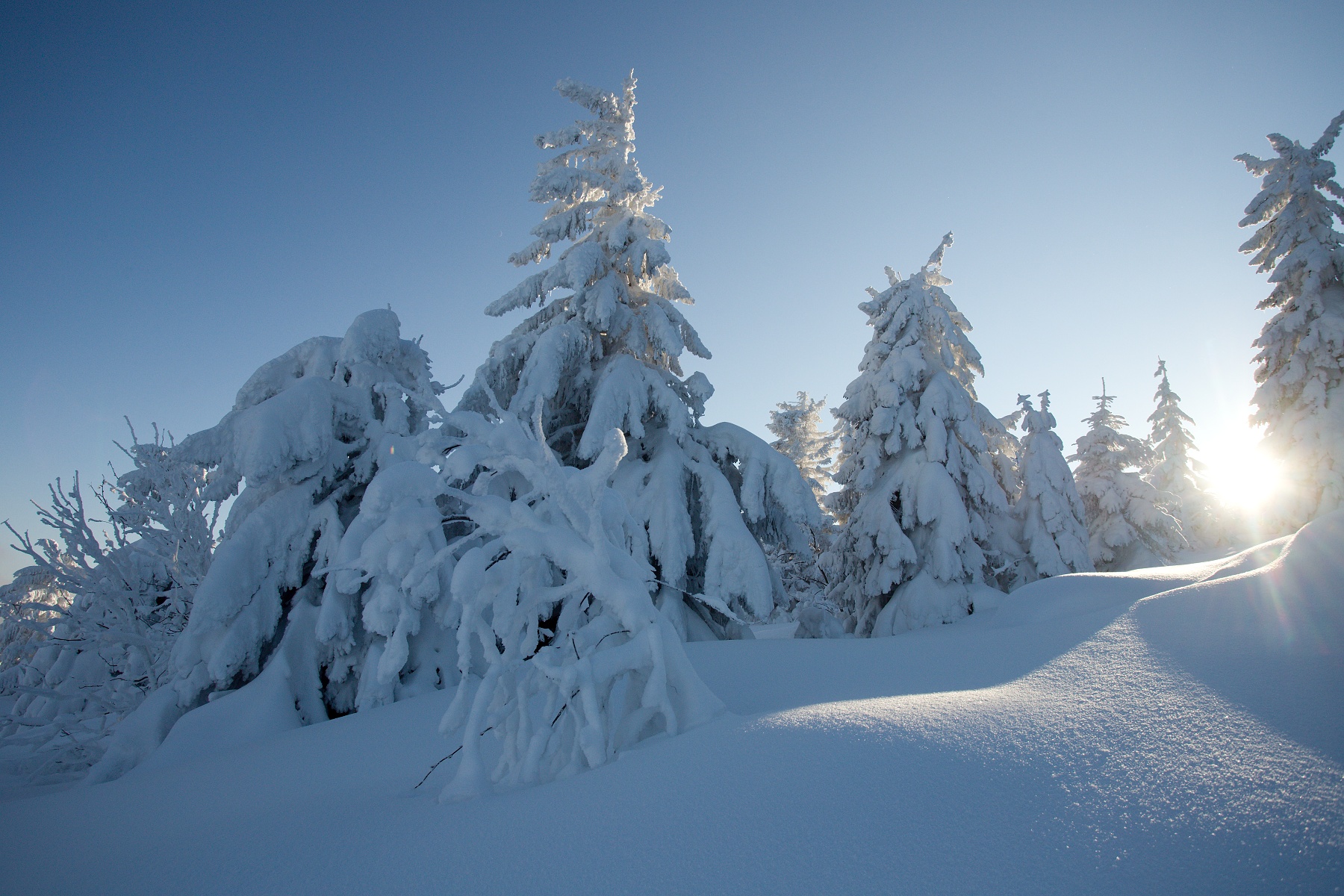 zmrznutá krajina IV (frozen landscape), Slovensko