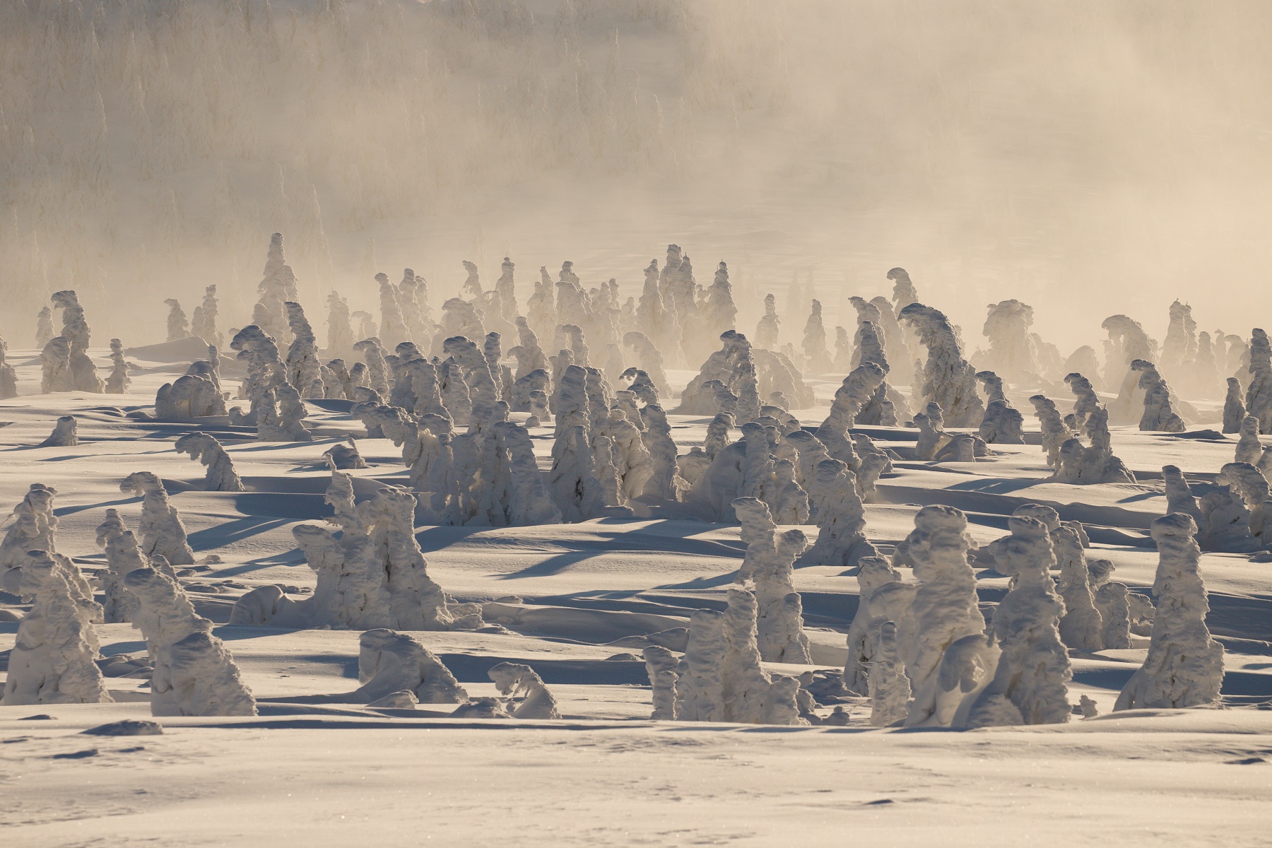 zmrznutá krajina VI (frozen landscape), Slovensko