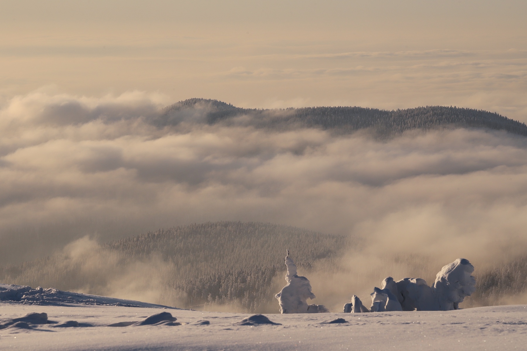 zmrznutá krajina VIII (frozen landscape), Slovensko