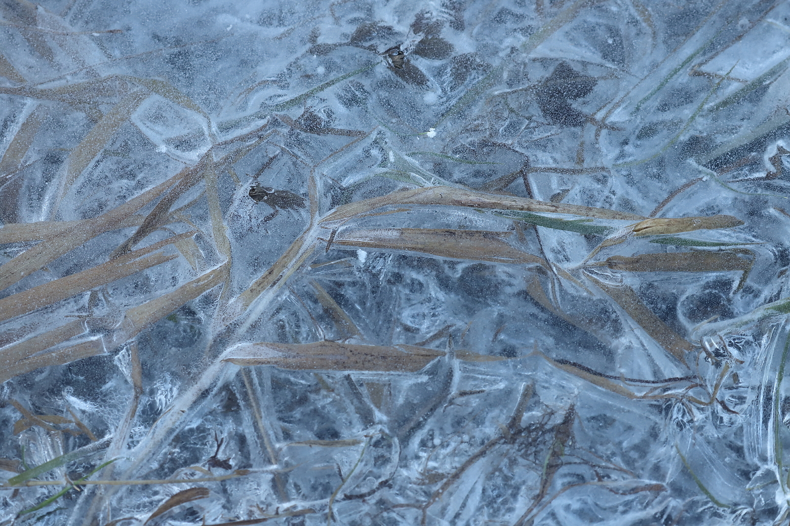 ice, Turiec river, Slovakia (2)