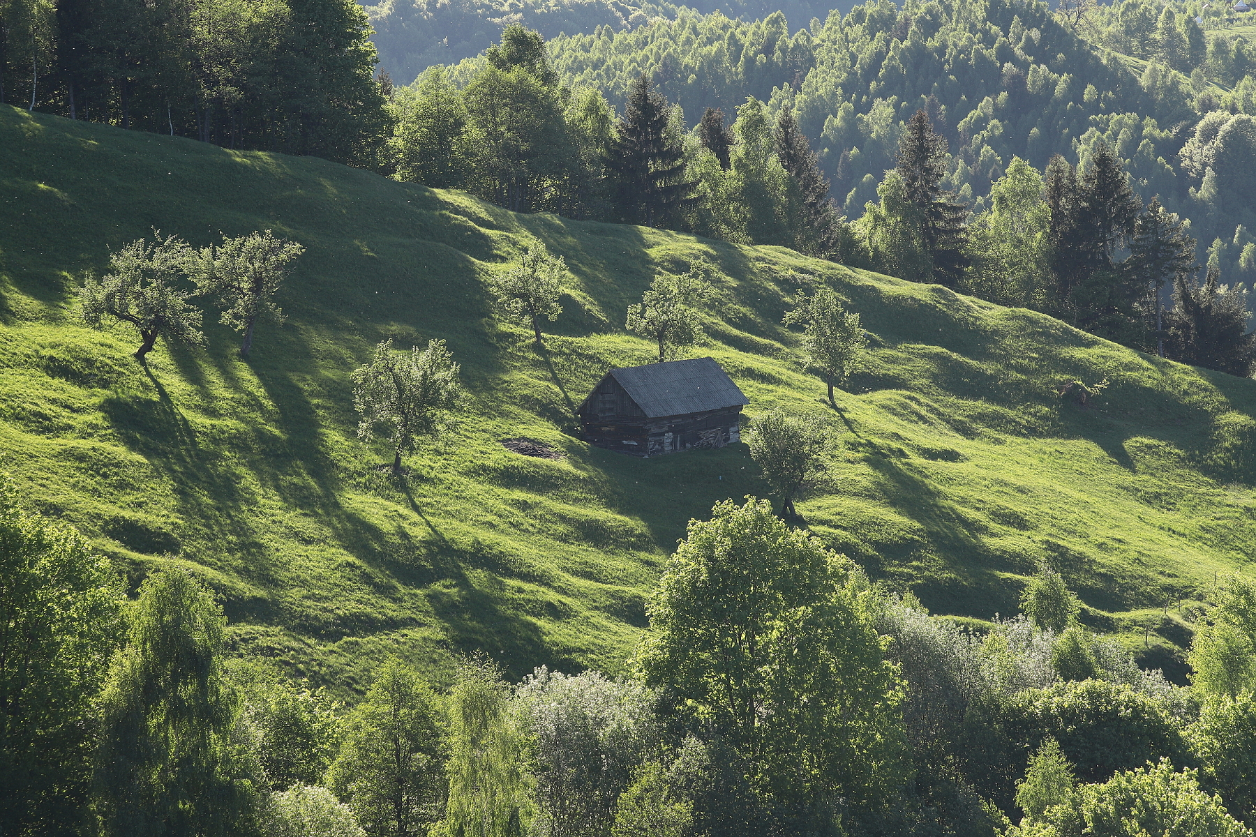 Fagaraš Rumunsko (10)