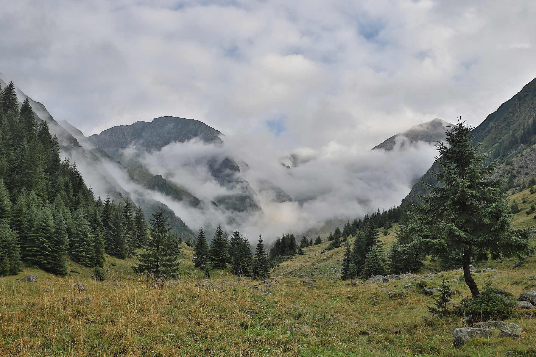 Fagaraš, Rumunsko (3)