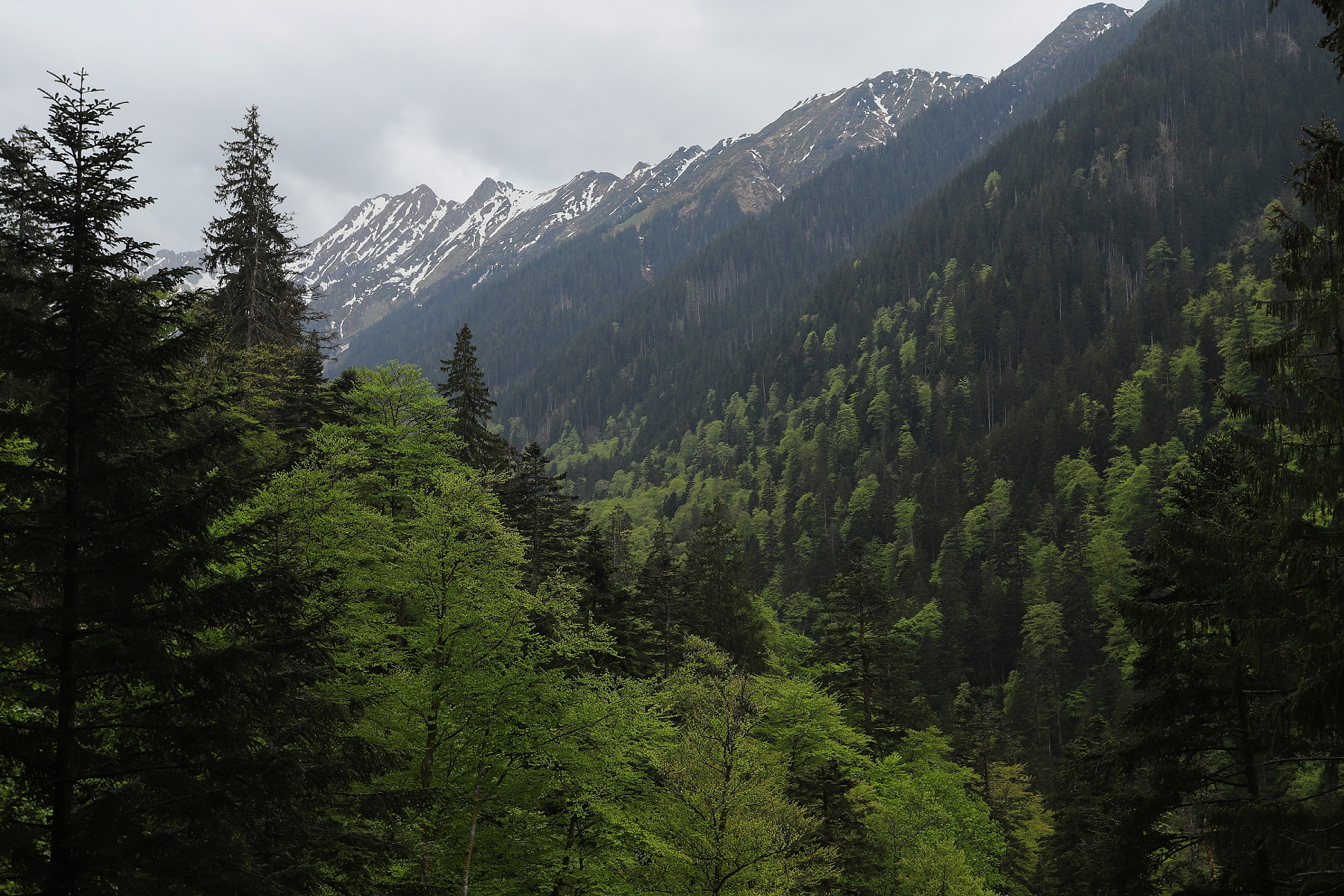 Fagaraš Rumunsko (8)