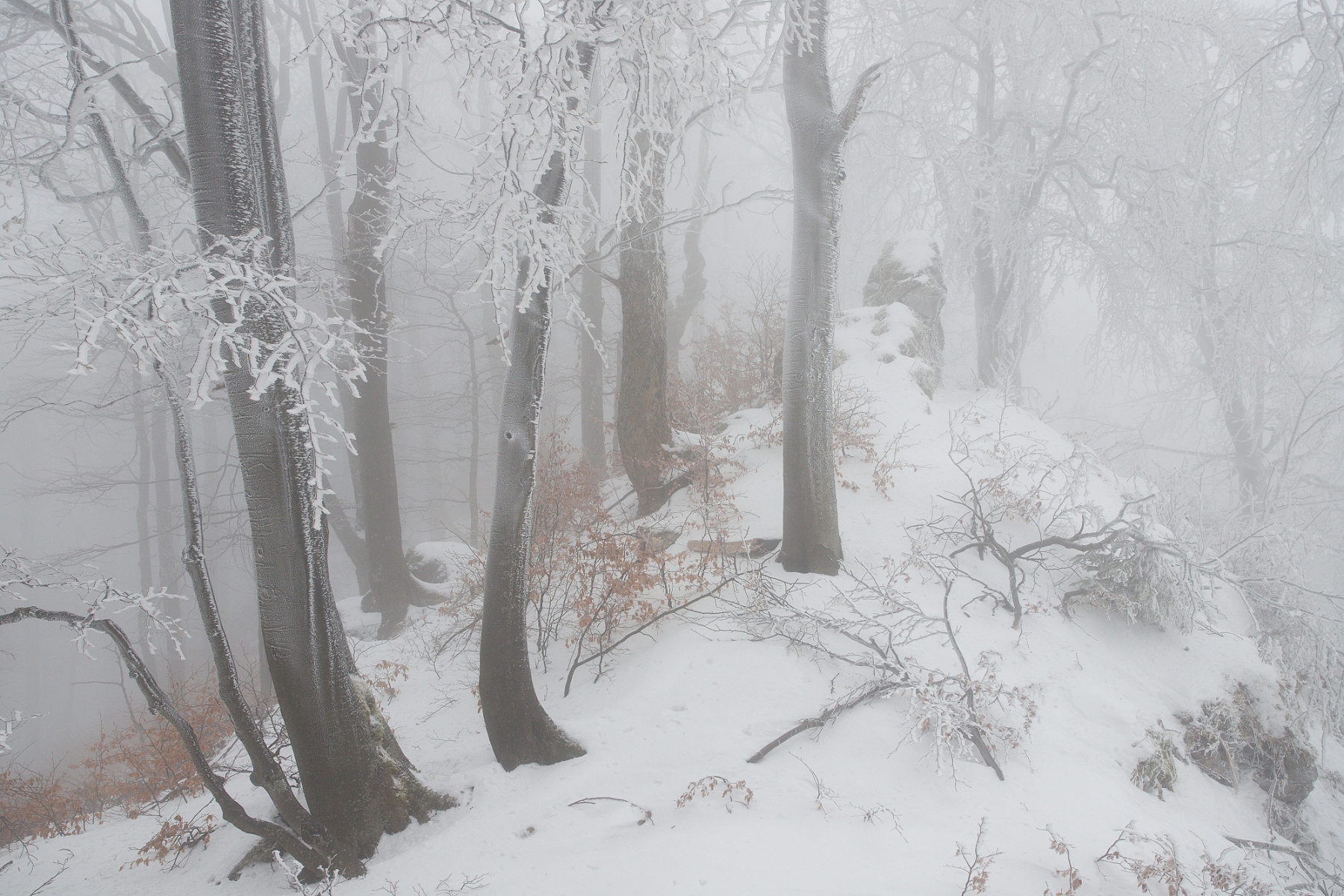 Malá Fatra, Slovensko (12)(1)