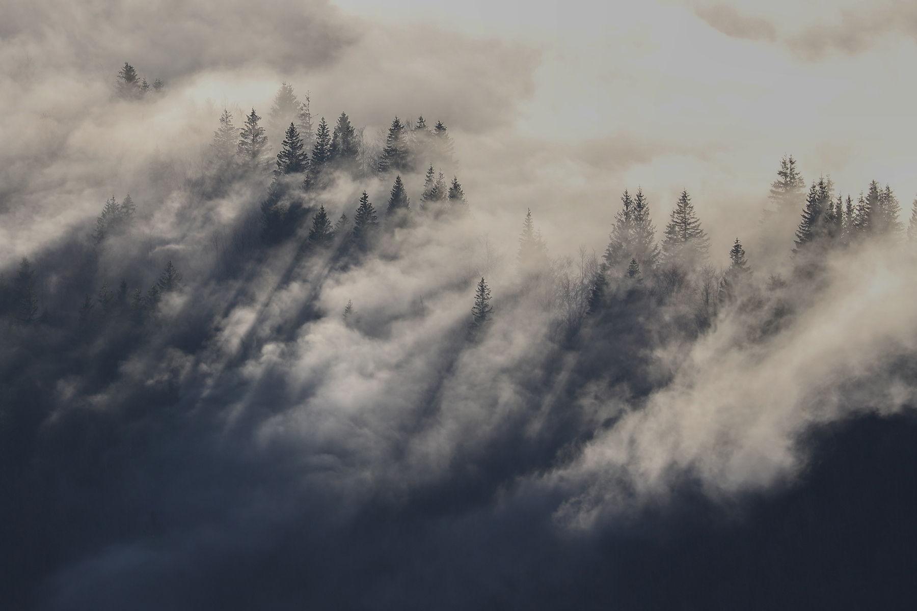 Malá Fatra, Slovensko (15)