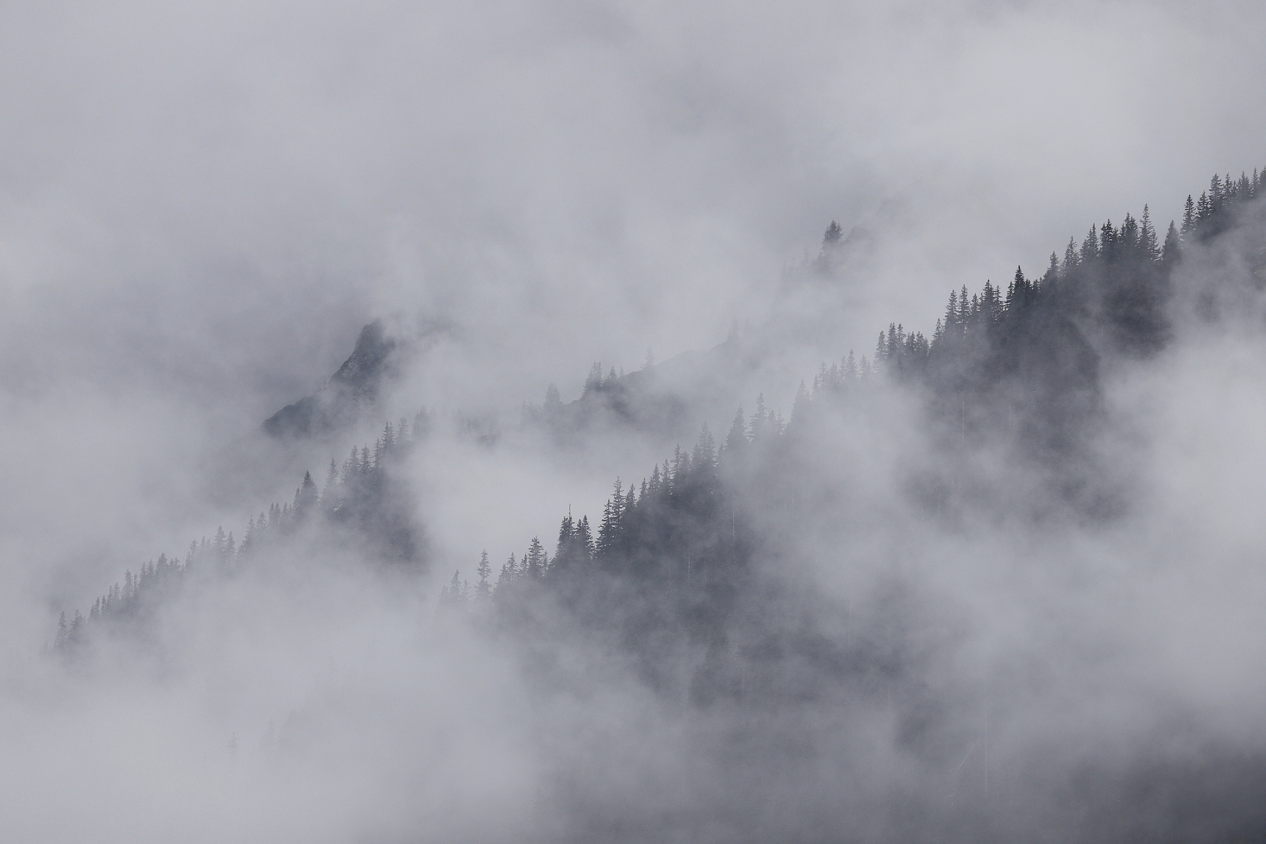 Fagaraš, Rumunsko (4)