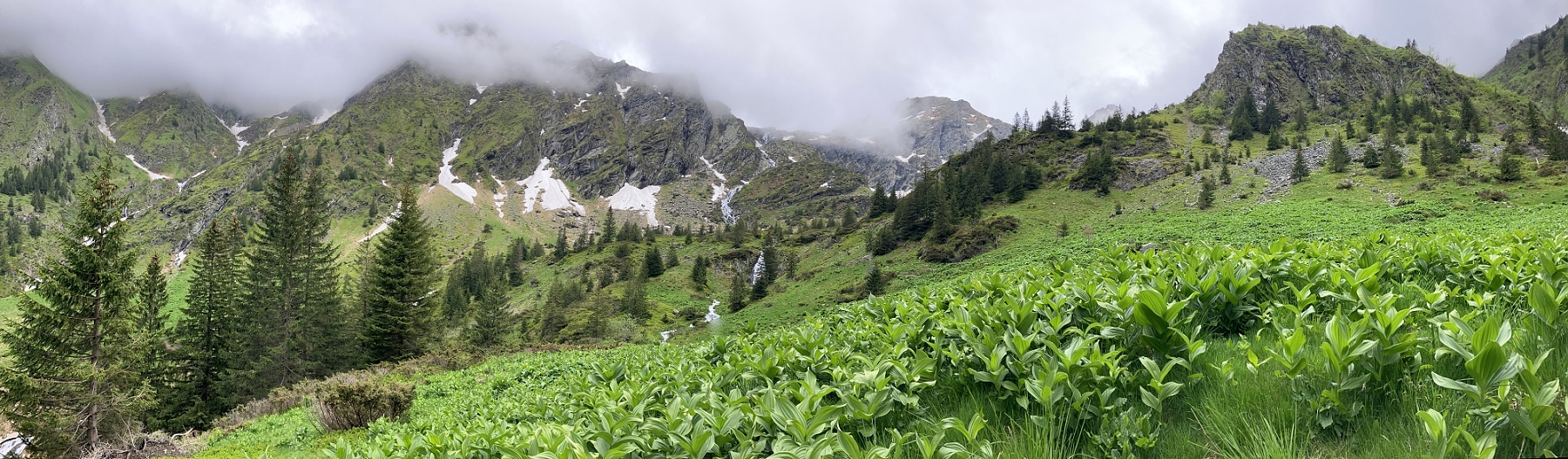 Fagaraš, Rumunsko