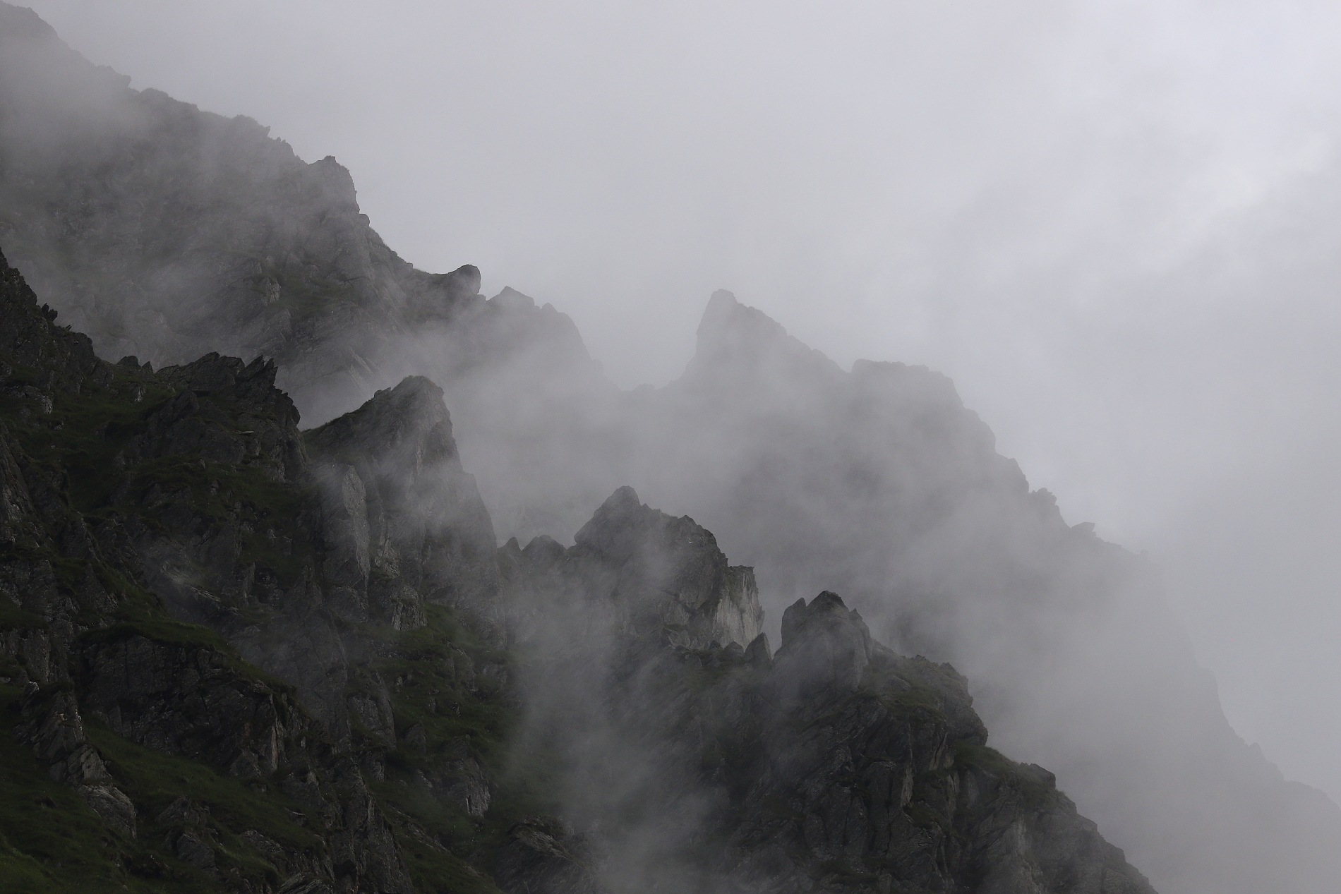 Fagaraš, RumunskoCanon EOS 6d mark II + Canon 100-400 f4.5-5.6 L IS II USM, 400mm, 1/3200, f7.1, ISO 500, 24. jún 2024 