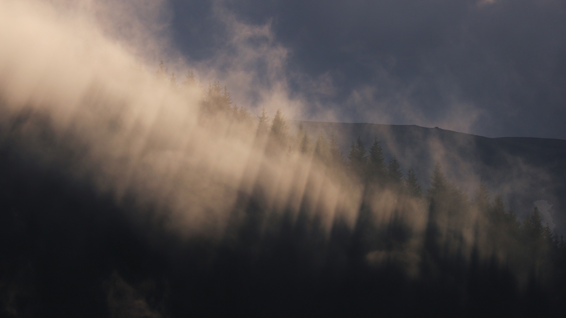 Fagaraš, RumunskoCanon EOS 6d mark II + Canon 100-400 f4.5-5.6 L IS II USM, 400mm, 1/3200, f5.6, ISO 125, 7. jún 2024 