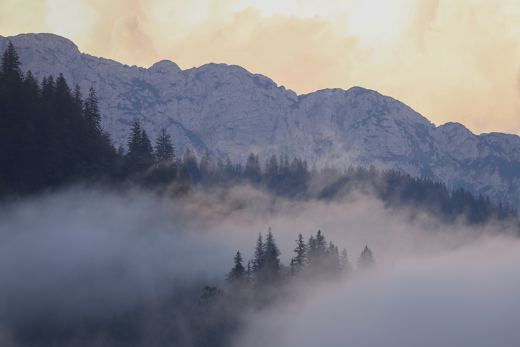 Fagaraš, Rumunsko (10)