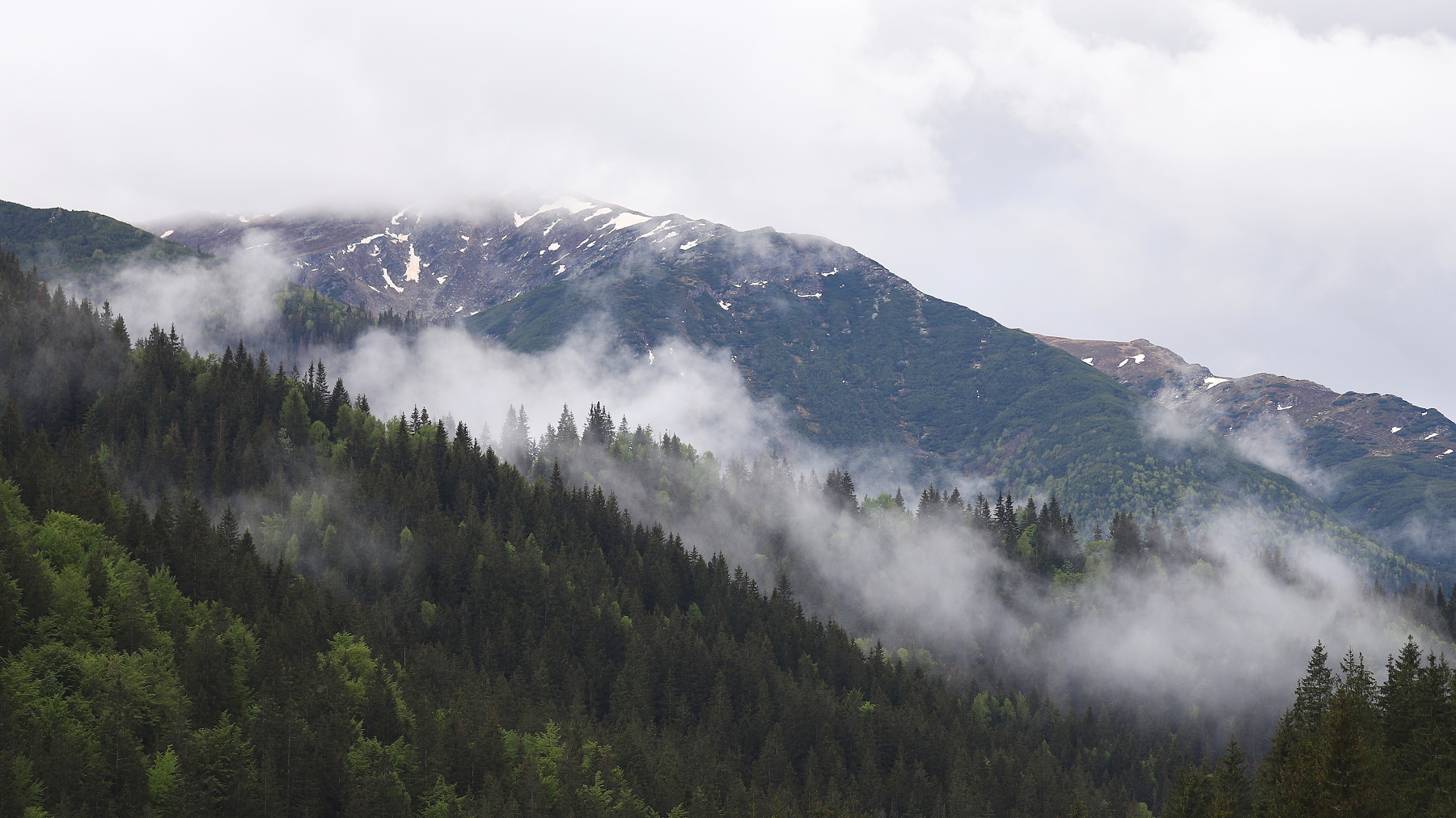 Fagaraš, Rumunsko (5)